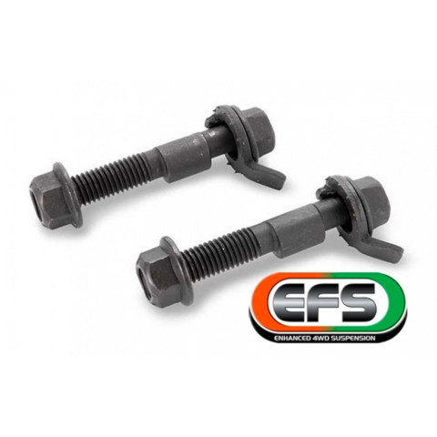 Buy Camber adjustment bolt kit EFS CAMBER12 Renault Duster 2010+, Nissan X-Trail T30