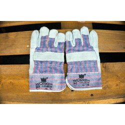 Buy Vnedorognik Winch Gloves